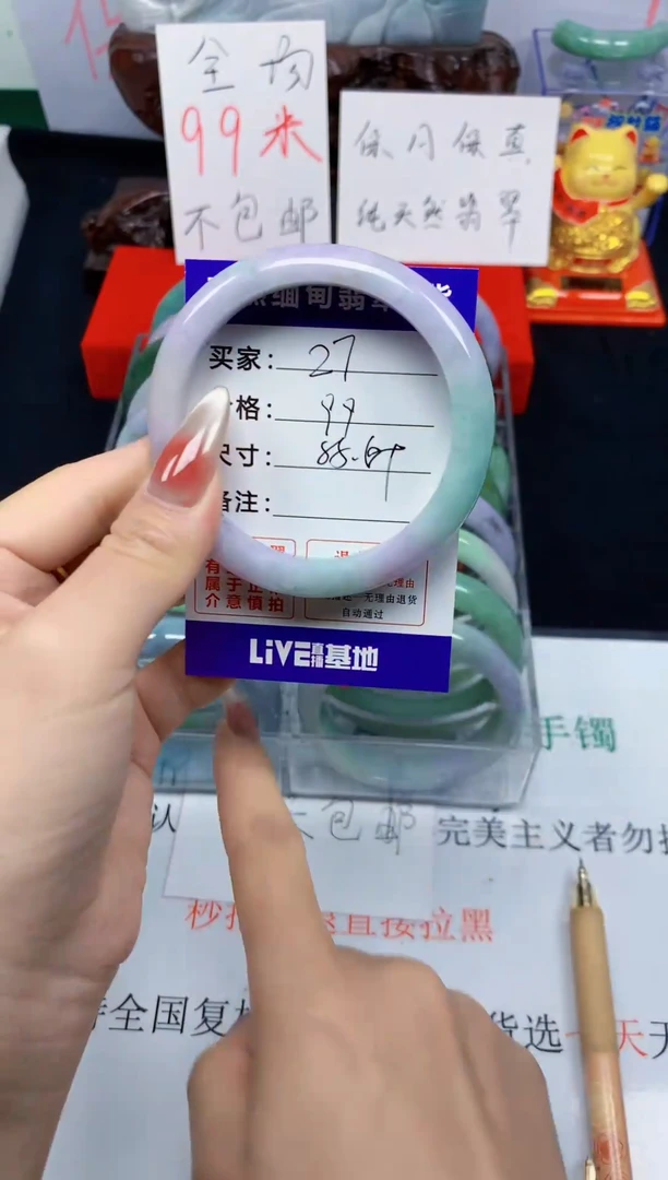 未镶嵌手镯翡翠27