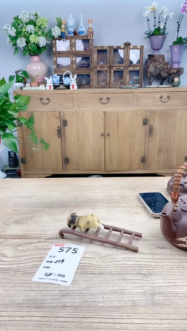 小玩子花盆直播号575