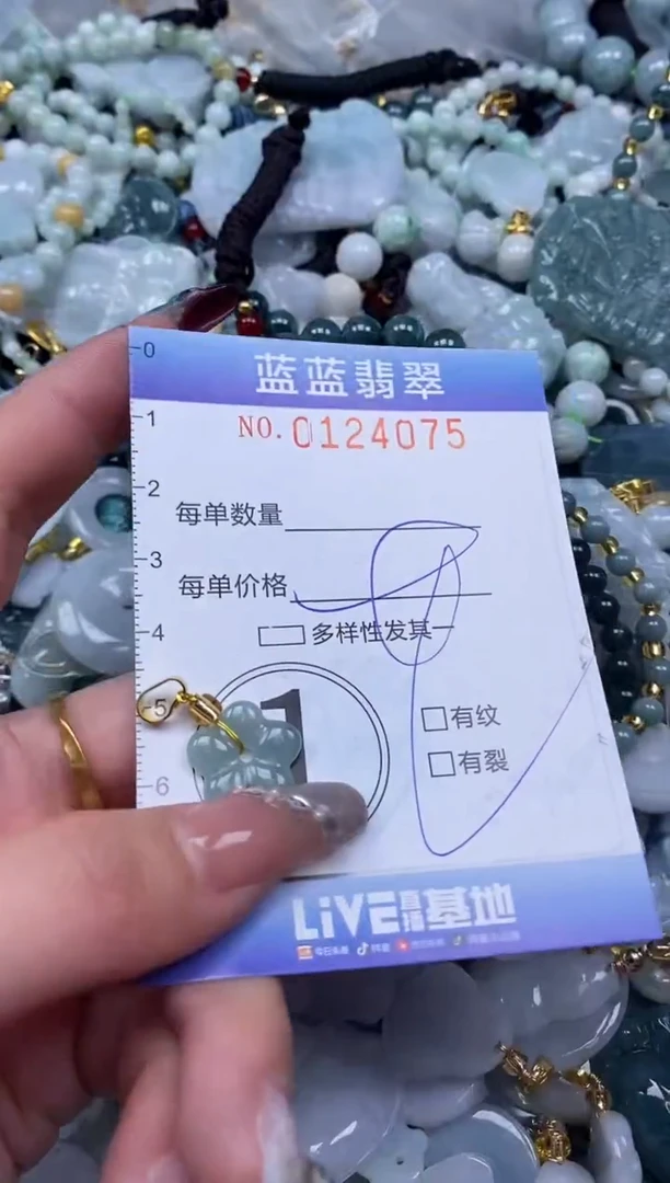 【闪购商品】翡翠颈饰未镶嵌闪购0124075