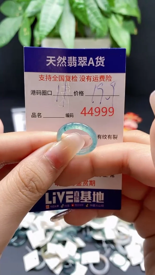 翡翠戒指未镶嵌 天然翡翠戒圈4999