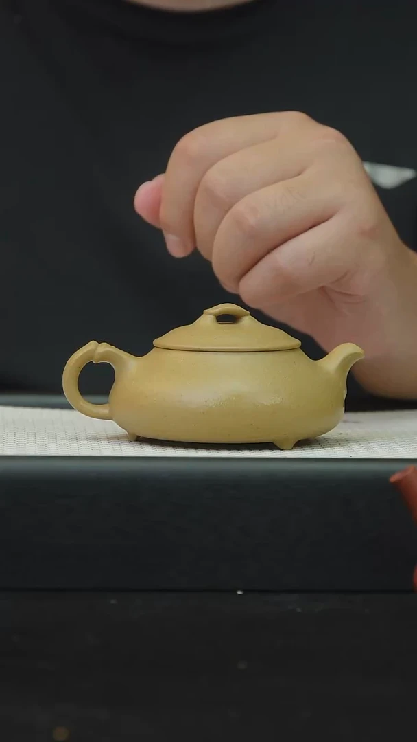 茶壶紫砂宜兴紫砂原矿紫砂