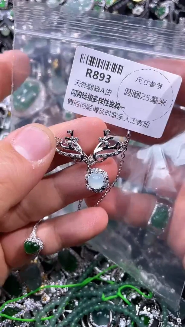 【闪购商品】翡翠颈饰未镶嵌R893项链