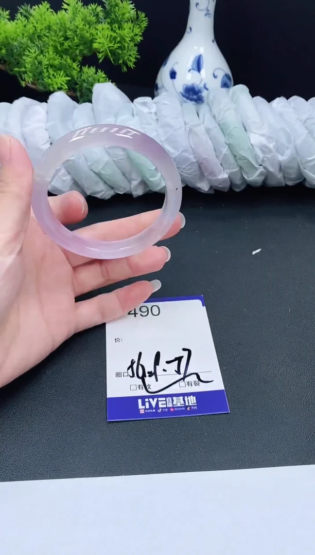 未镶嵌手镯翡翠490