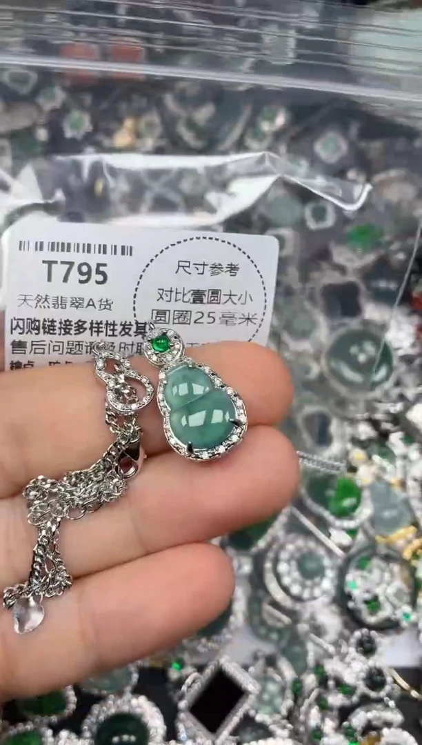 颈饰未镶嵌翡翠T795项链