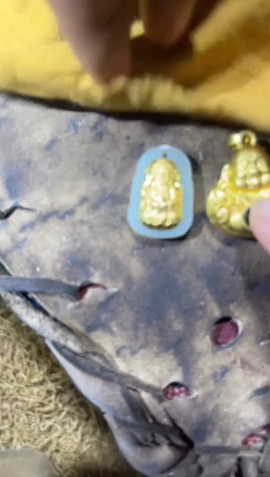 香榧木（1个小复利）