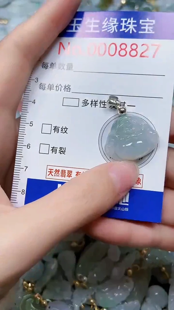 【闪购商品】翡翠颈饰未镶嵌闪购00008827