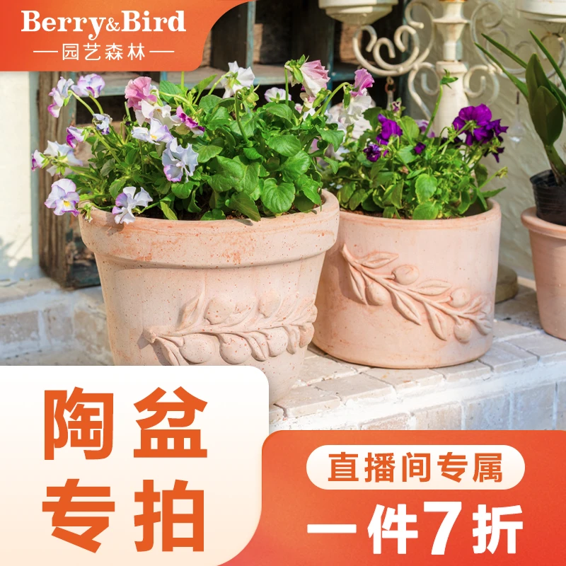 Berry&Bird【直播间专属】园艺森林意大利进口陶盆天然红陶盆