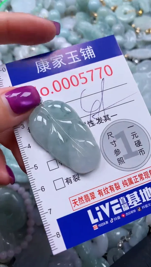 颈饰未镶嵌翡翠5770