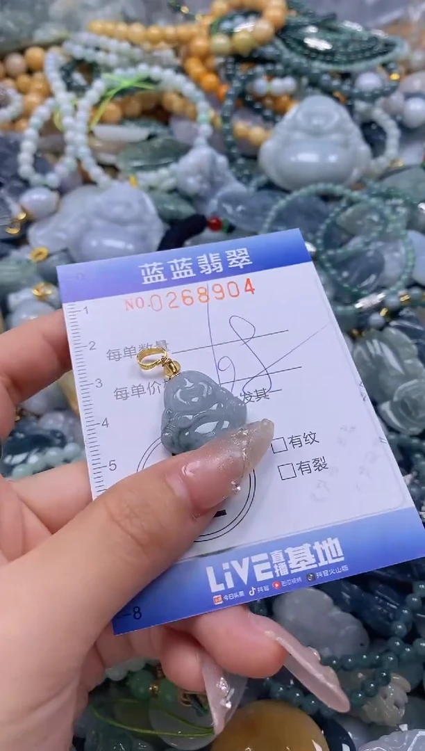 翡翠未镶嵌颈饰闪购0268904