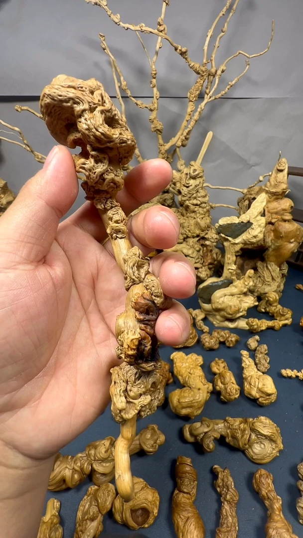 香榧木公**上rwedffdssdfsdf