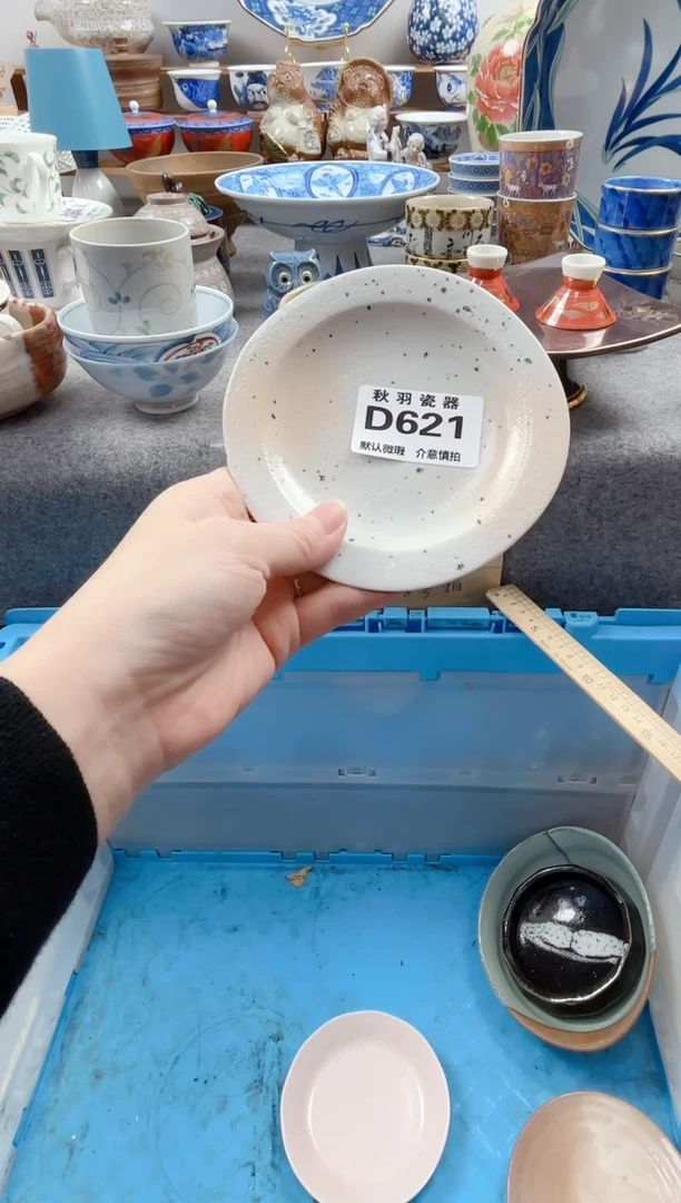 日式小**潮默认微瑕秋羽D621