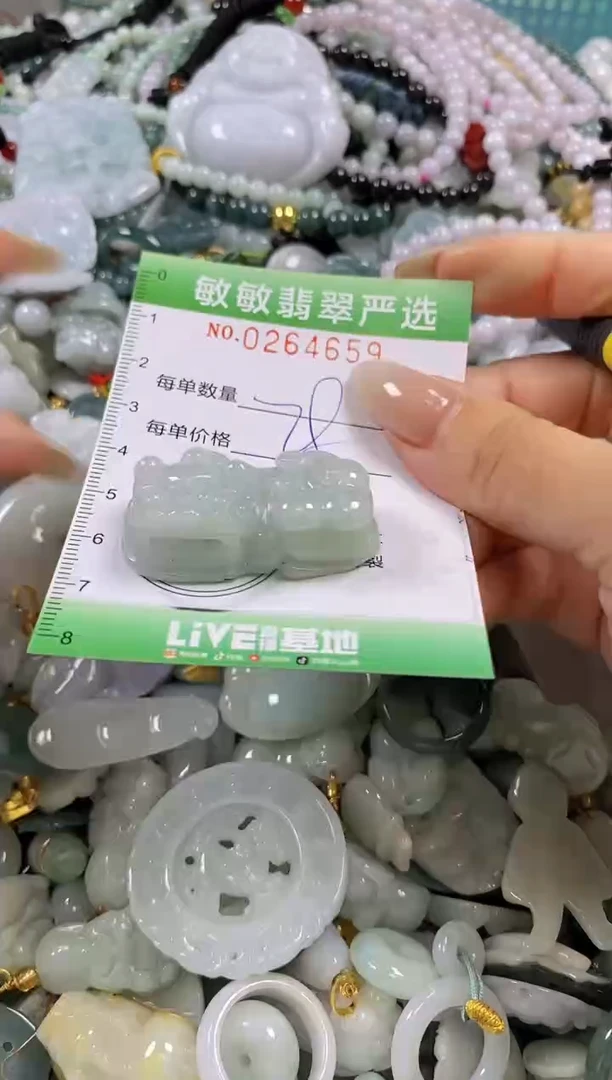 翡翠未镶嵌颈饰闪购0264659