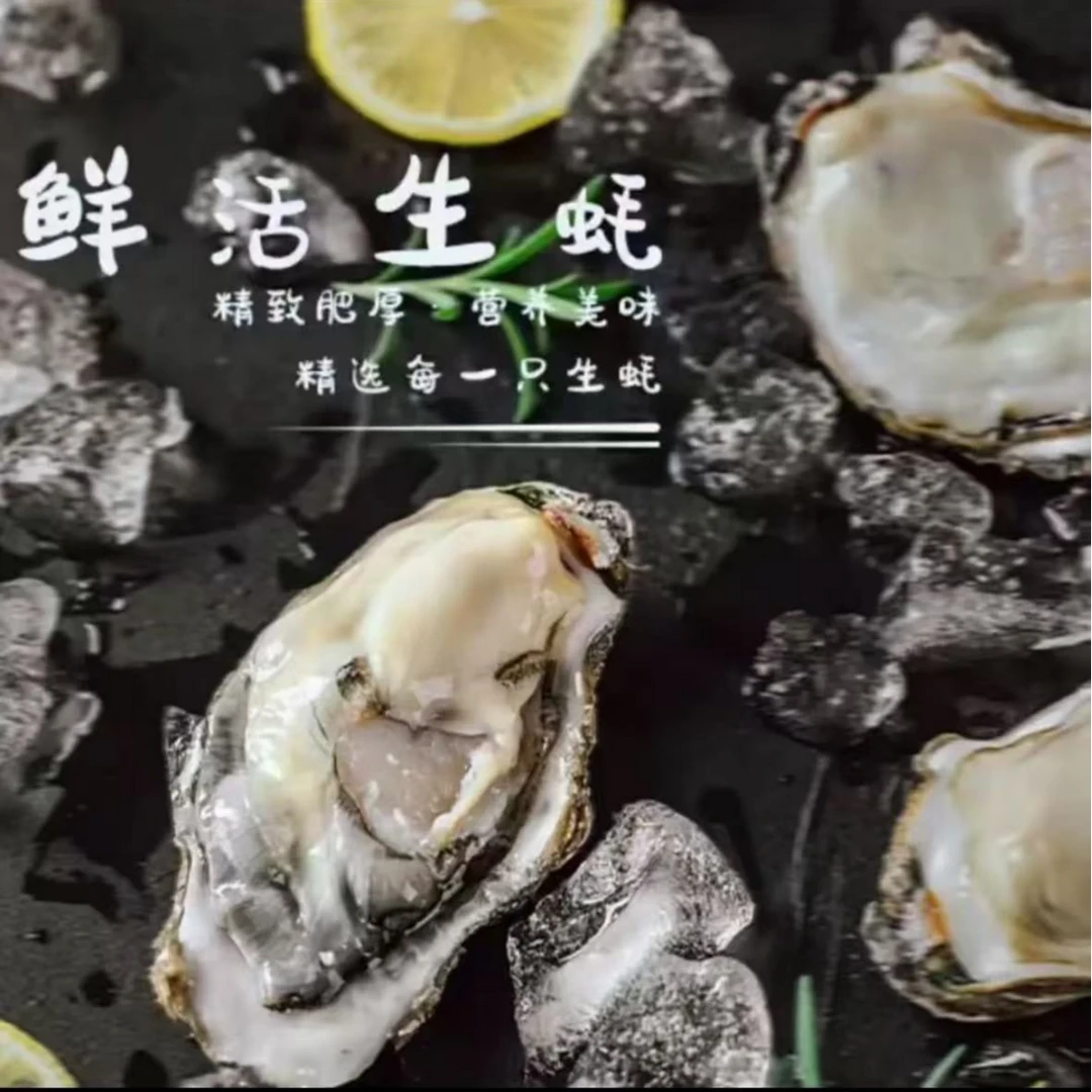 山东生蚝海蛎子5斤京东顺丰包邮（送开蚝鲜活三件套）