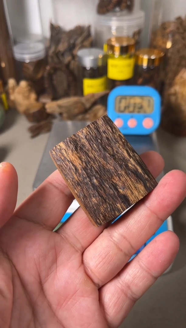 【闪购商品】沉香手把件东马沉香