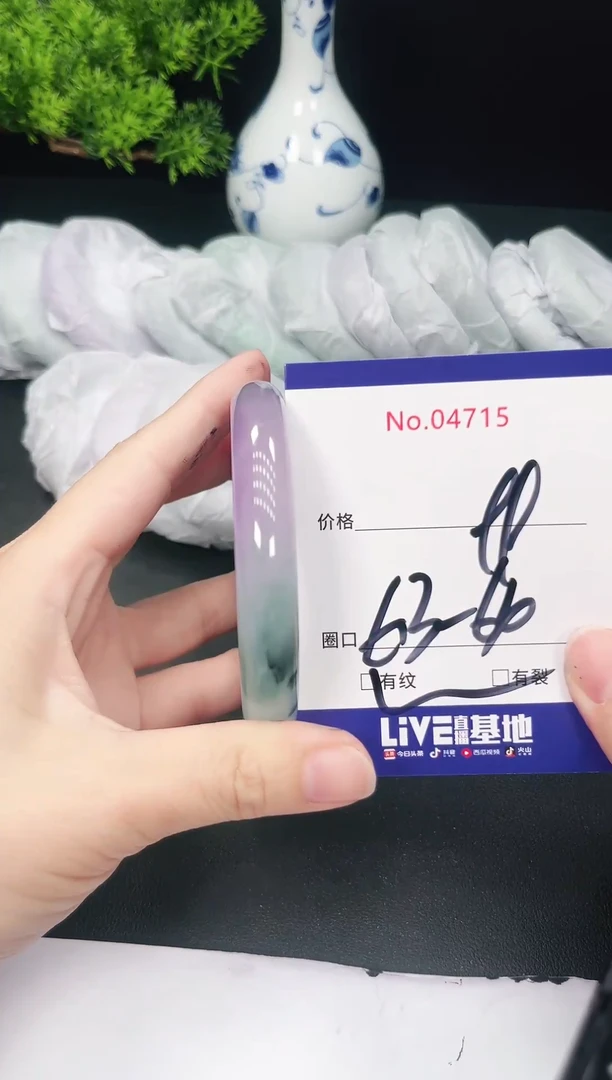 未镶嵌手镯翡翠4715