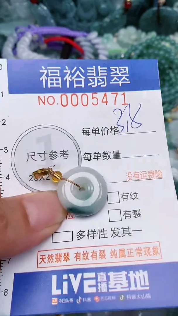 翡翠未镶嵌颈饰...0005471