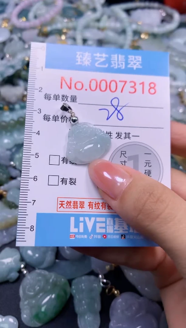 颈饰未镶嵌翡翠7318