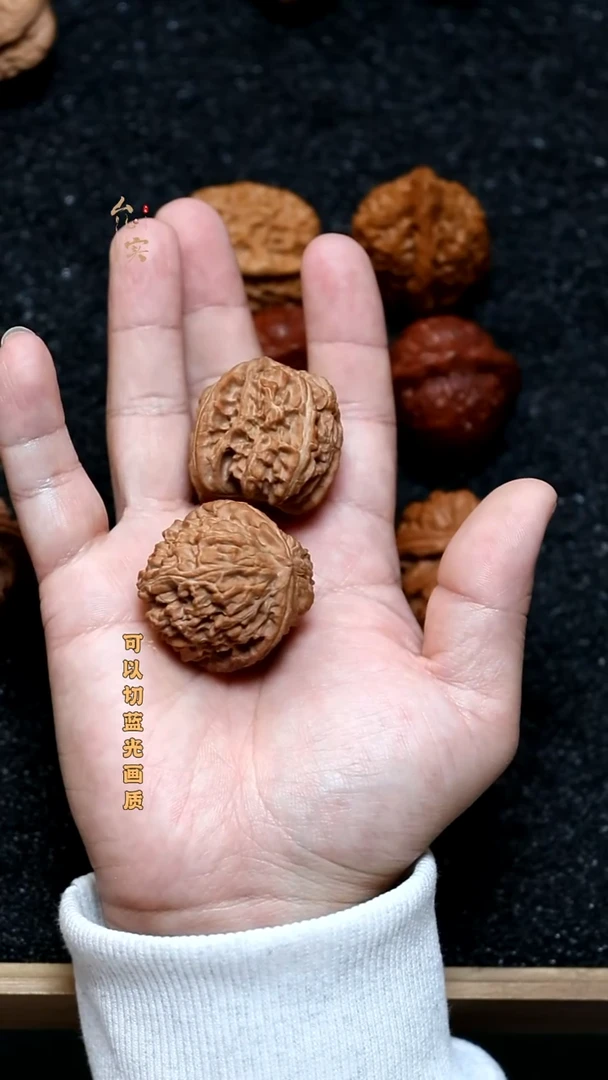 把件文玩核桃白狮子