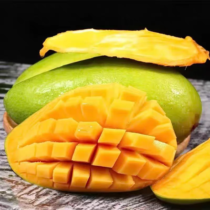 【现摘现发】云南大青芒果新鲜采摘水果当季青皮薄皮夏季L