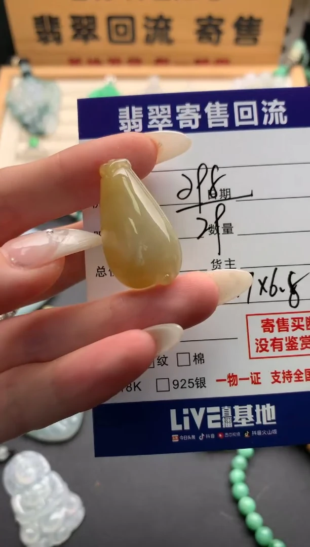 翡翠未镶嵌颈饰10137954