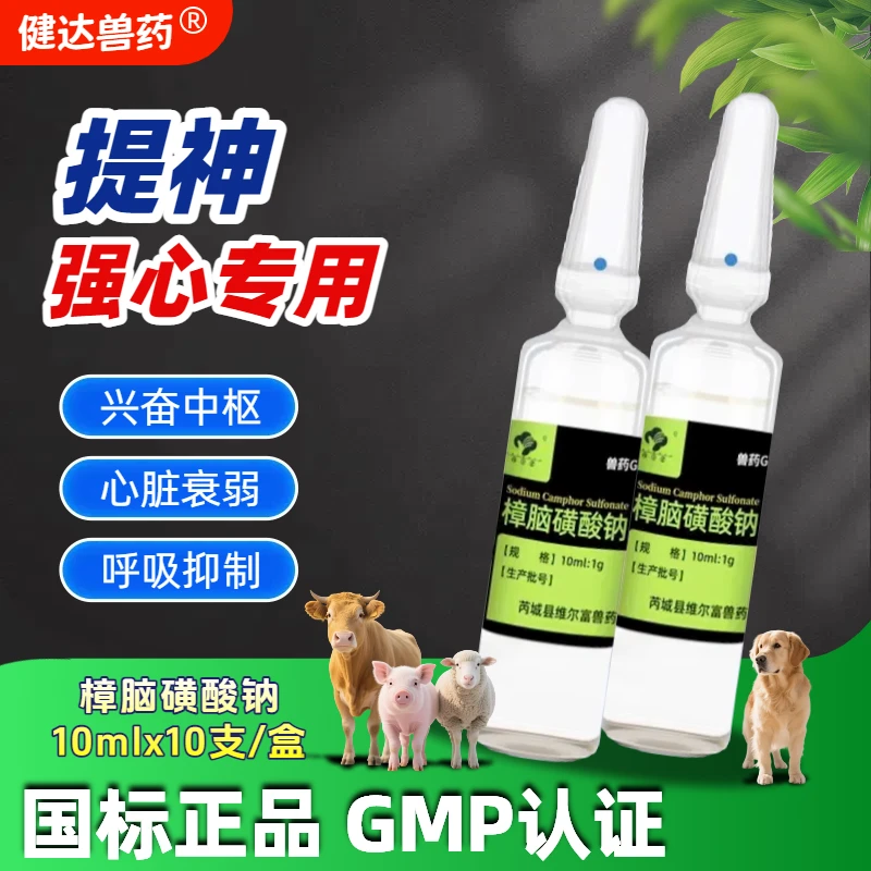 兽用兽药樟脑磺酸钠注射液猪牛羊狗狗专用强心急救升温正品针剂