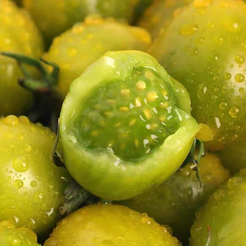 【森哥精选】唐伯虎小番茄脆甜可口送货上楼山东省