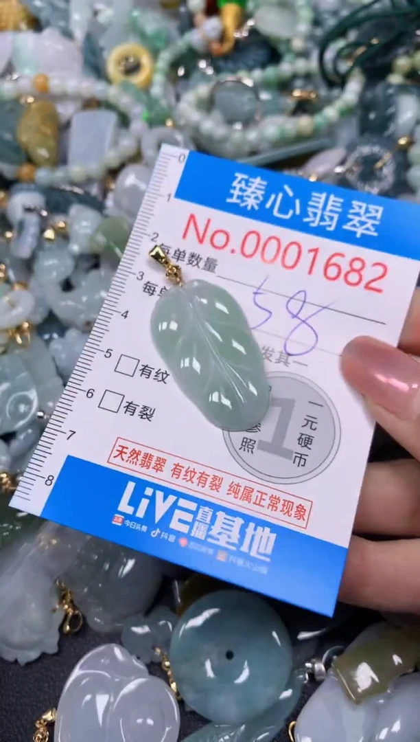 【闪购商品】翡翠颈饰未镶嵌含绳0001682