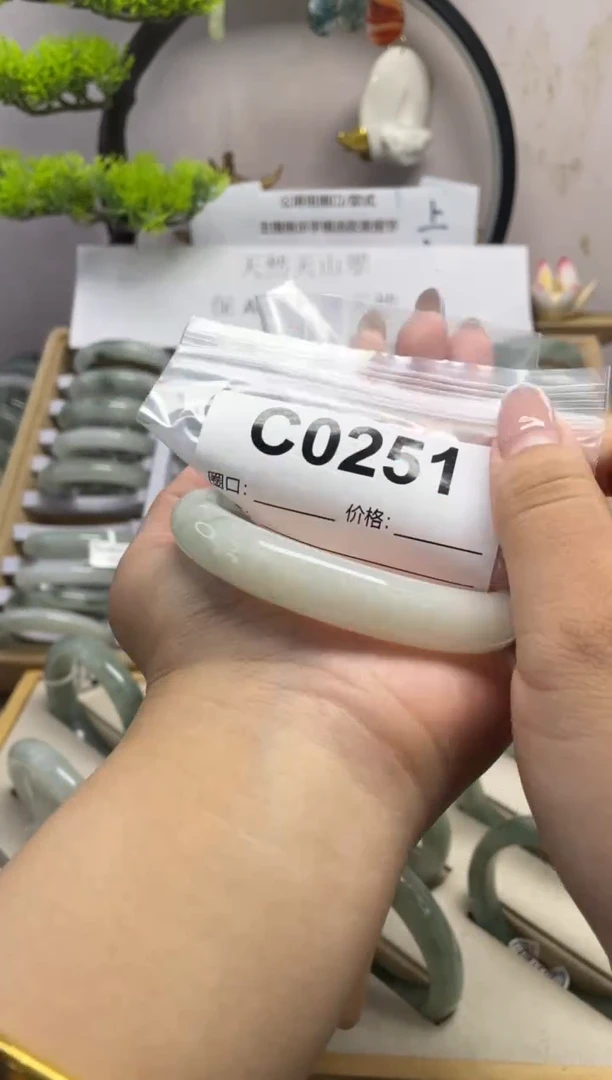 石英质玉（天山翠）手镯未镶嵌c0251