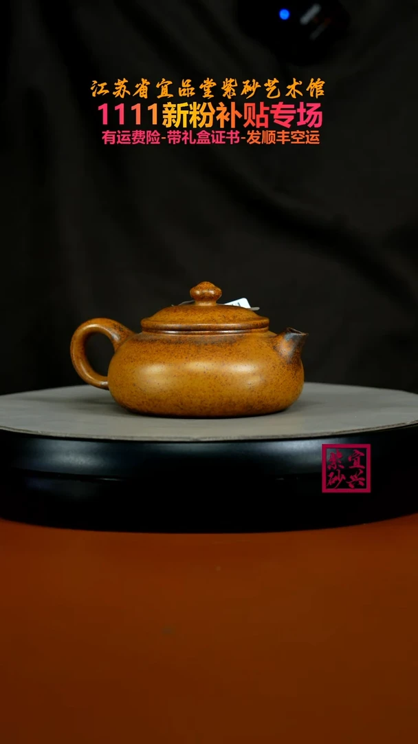 茶壶紫砂李传荣龙骨金砂柴烧光素寒江160CC