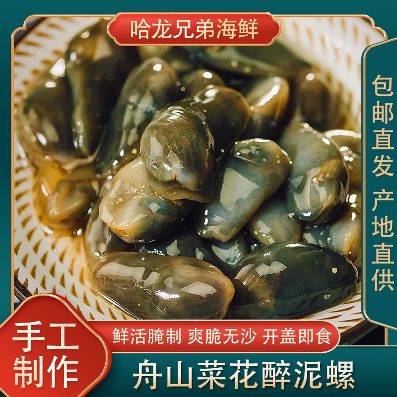 【大规格】舟山宁波特产菜花醉泥螺海鲜野生活腌制新鲜生腌即食