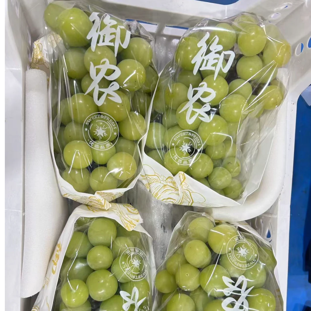 【箱装】阳光玫瑰提子带箱8-9斤左右净重5-6斤