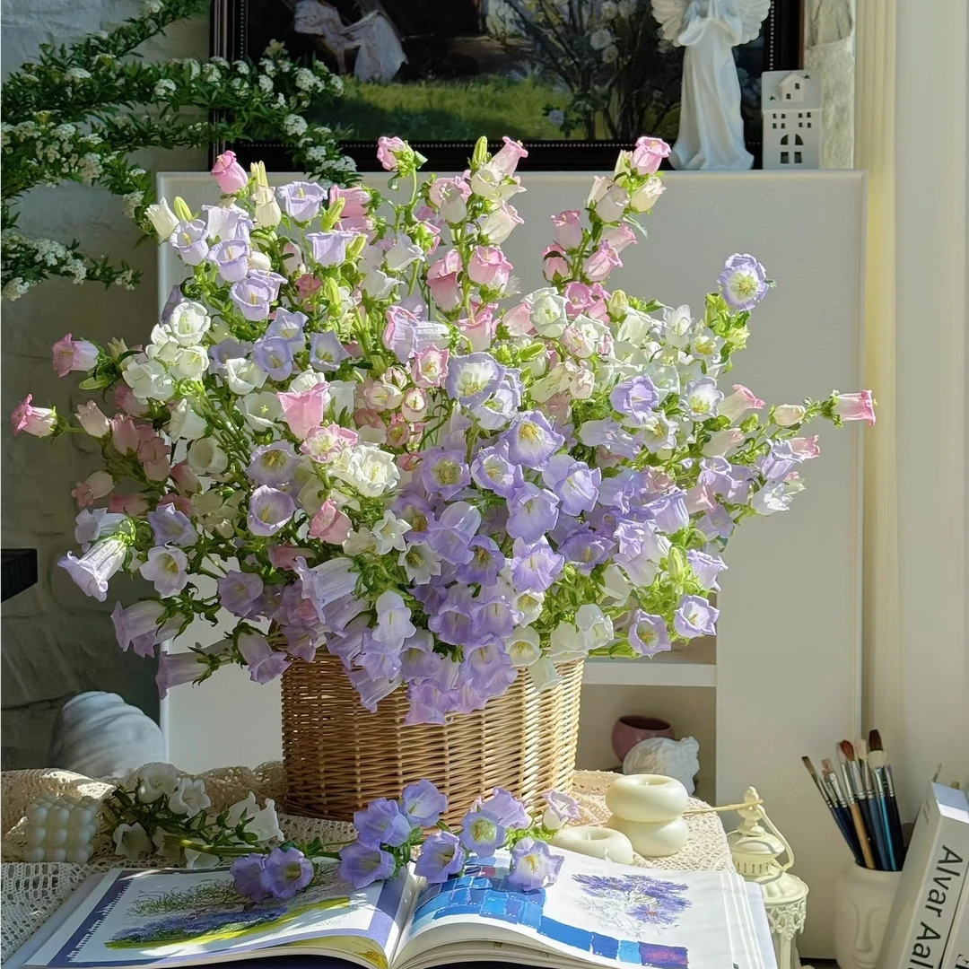 花鲜祉【风铃花组合】全场 任意两单升级顺丰包邮今日下单明日送达云南斗南鲜花基地直发鲜切花小风铃