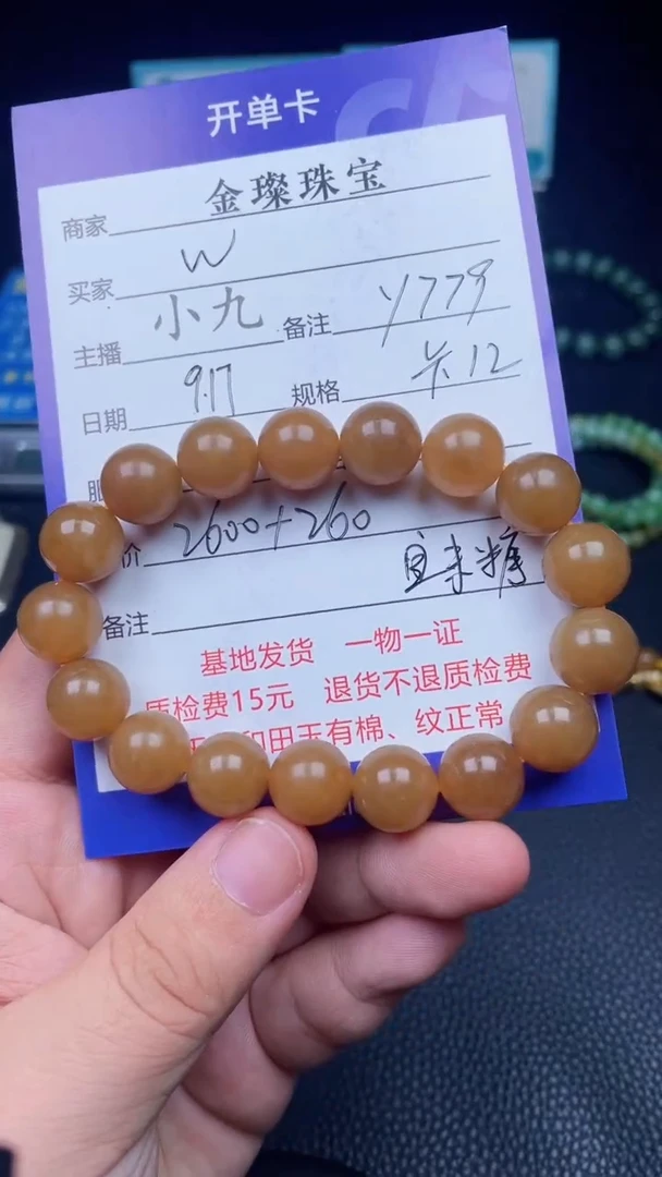 颈饰未镶嵌和田玉y779