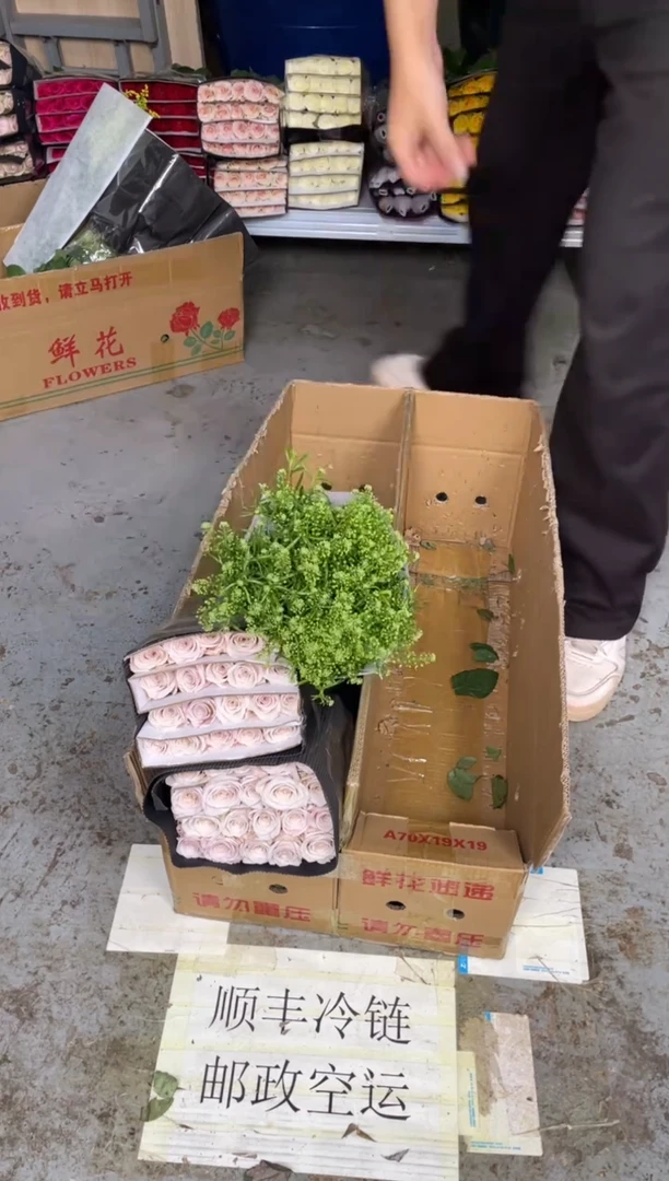 曼塔4扎+绿林草