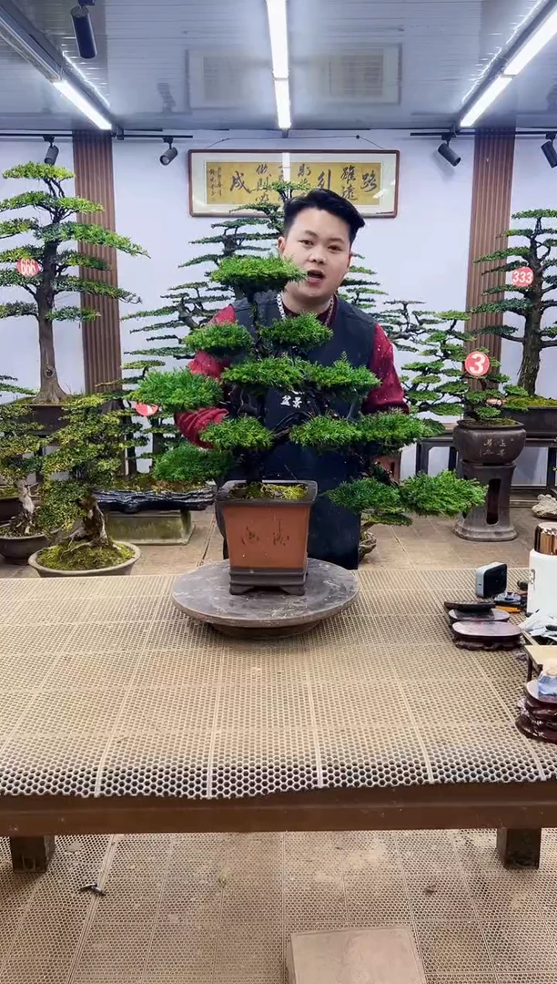 【闪购商品】000000000