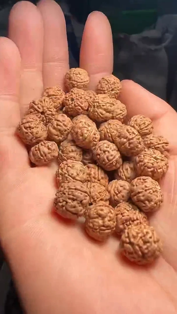 金刚菩提手串非全品树王散籽10-11mm一份一百颗