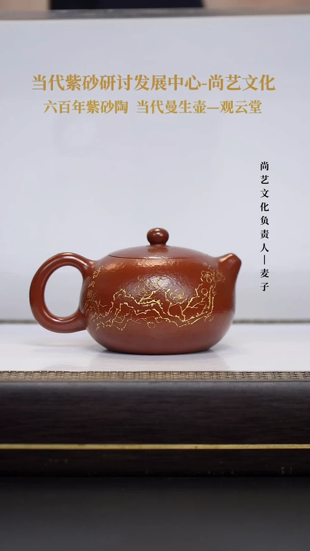 茶壶紫砂屠博渊 鸡血大红袍 西施