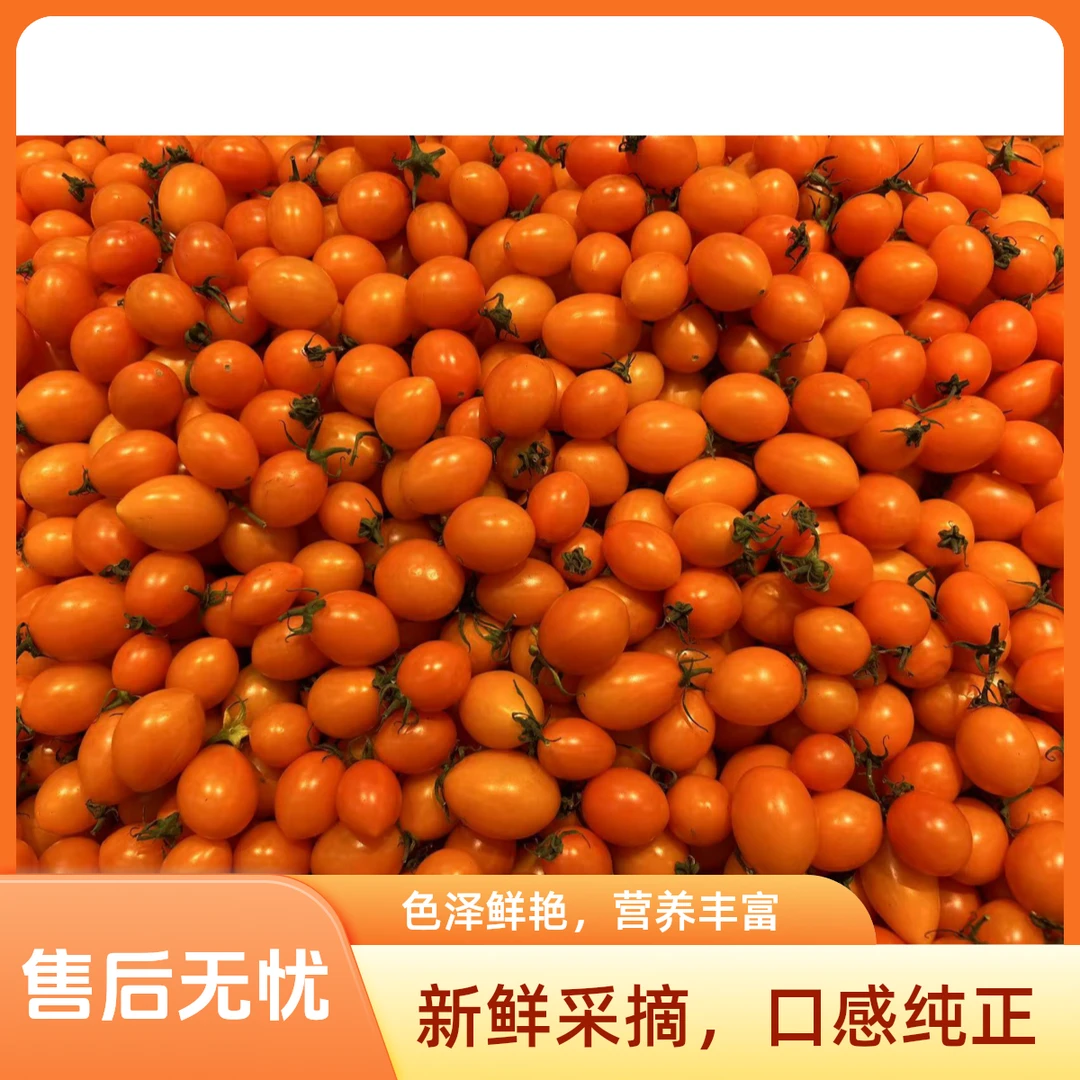 黄珍珠柿子 1斤（水果）