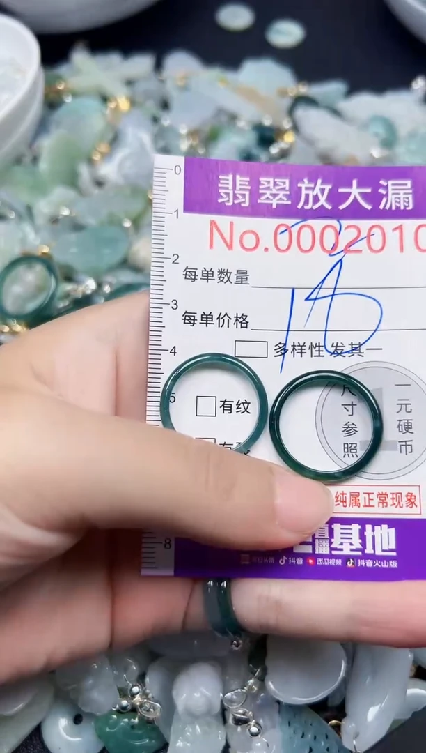 颈饰未镶嵌翡翠2010