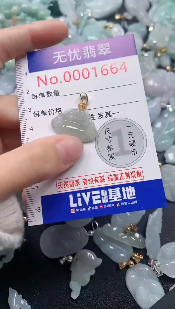 颈饰未镶嵌翡翠1664