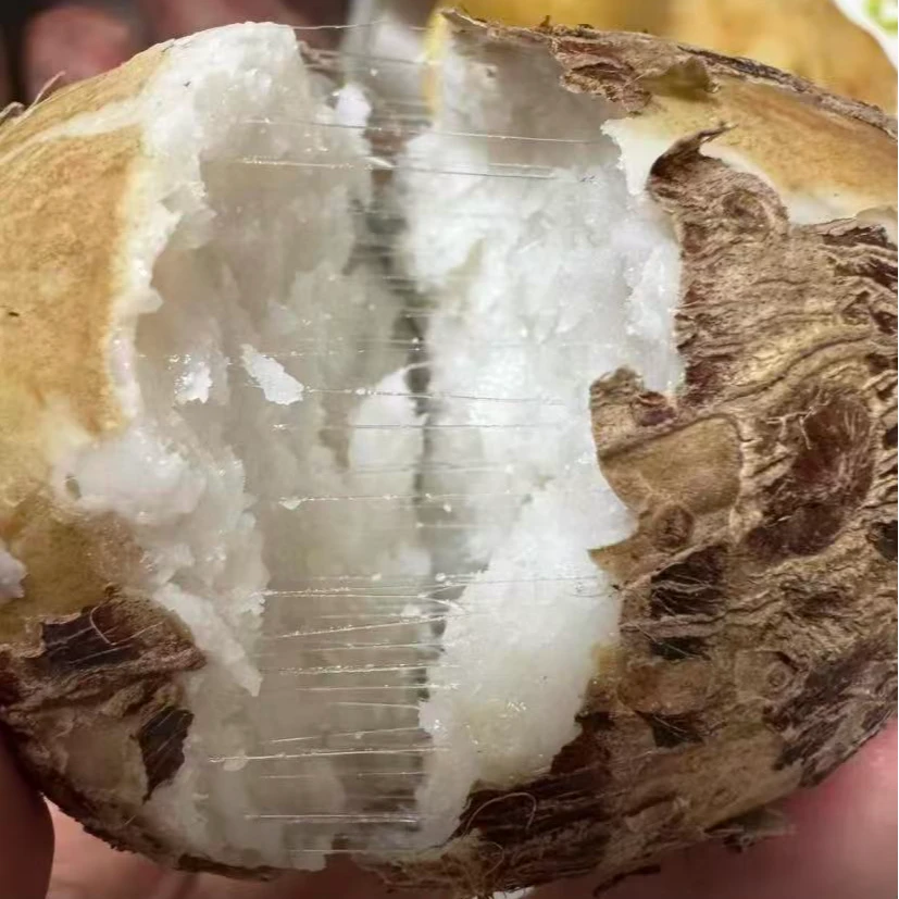 山东沙土地牛奶毛芋头软糯香甜当季爆品现挖白心蔬菜特产香芋芋艿