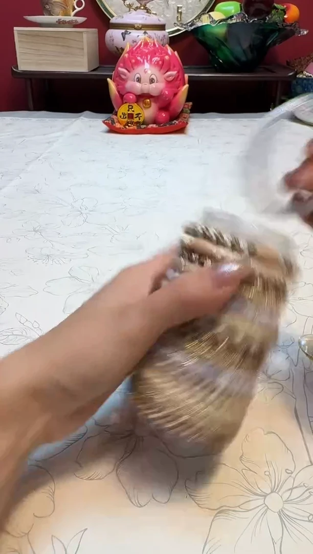 Y杯杯杯杯杯杯杯杯杯杯杯杯
