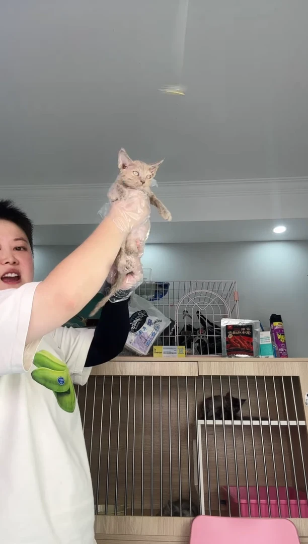 德文?****️包包咪丫