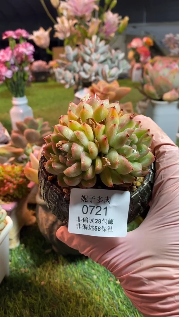 【闪购商品】0721a