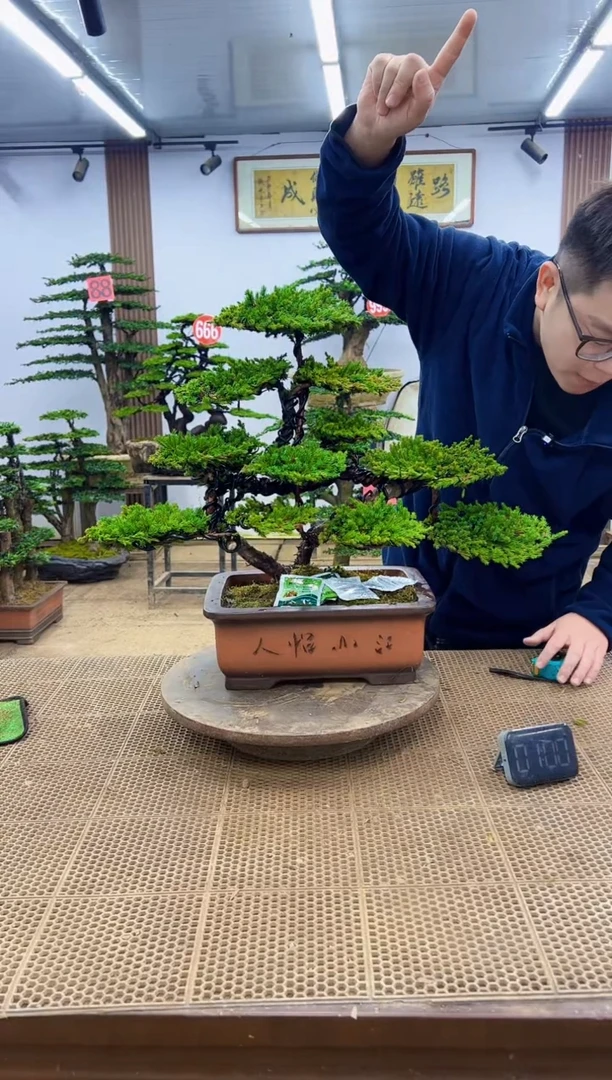 无花朵000000000000