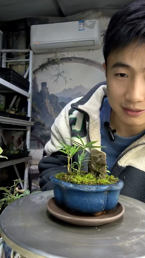 你****-中青园艺一物一拍187