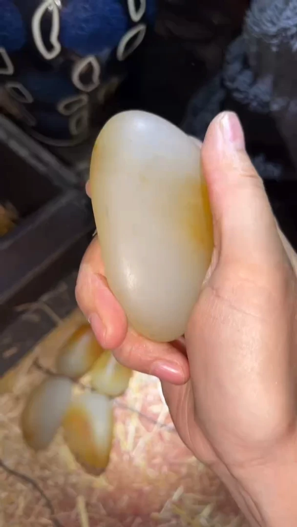 玉闪购商品专属高端连