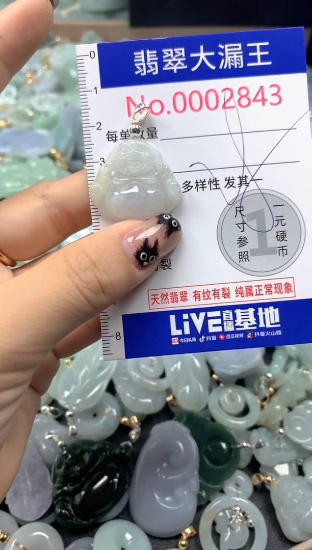 颈饰未镶嵌翡翠2843