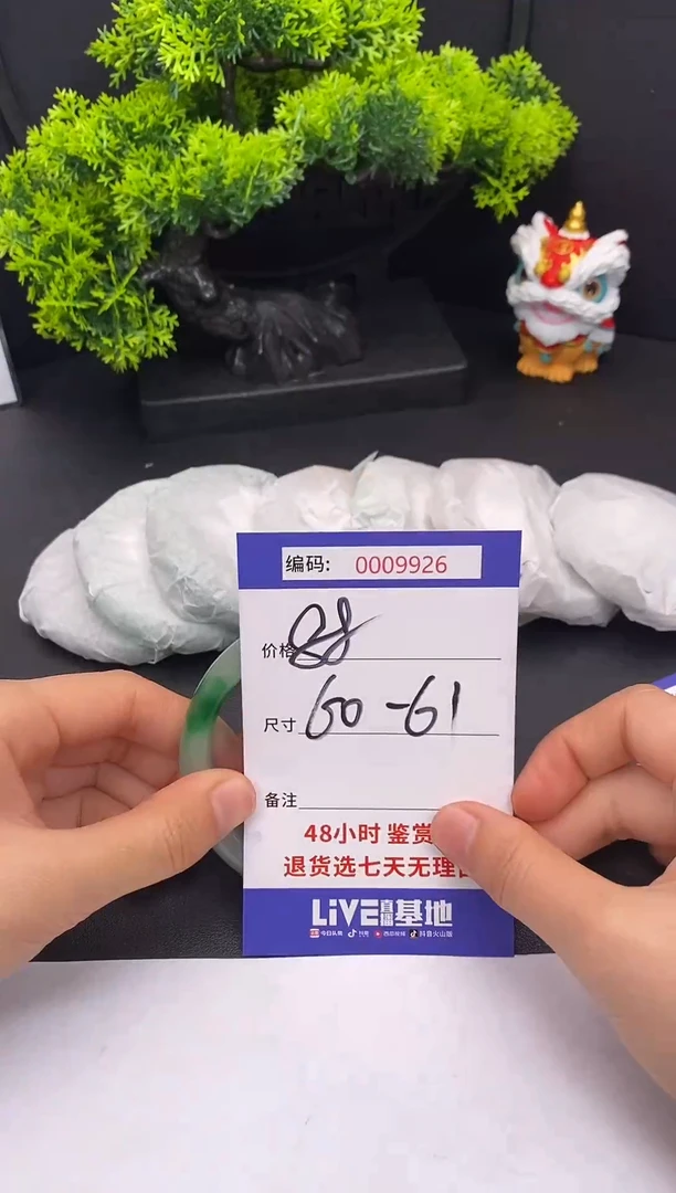 未镶嵌手镯翡翠0009926