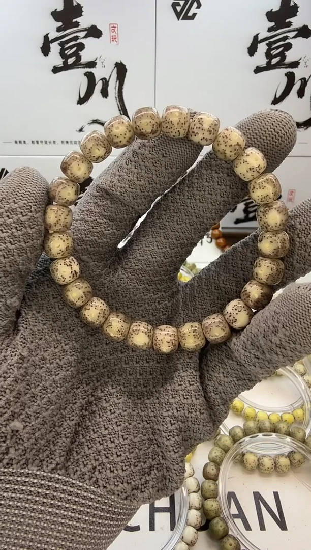 手串星月菩提9/8  冰糖 玉化 眼留白 星点均匀 同枝果  C22